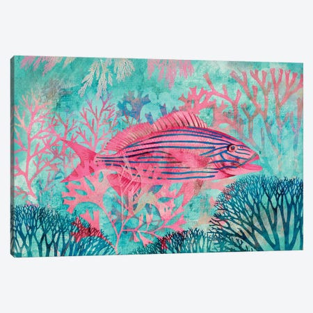 Underwater Paradise Canvas Print #HSE158} by Andrea Haase Canvas Art
