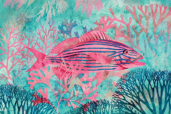 Andrea Haase: Underwater Paradise by Andrea Haase