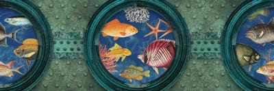 Underwater Wonderland by Andrea Haase canvas print