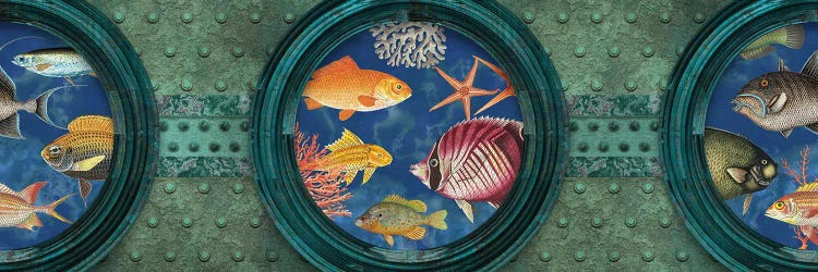 Underwater Wonderland by Andrea Haase wall art