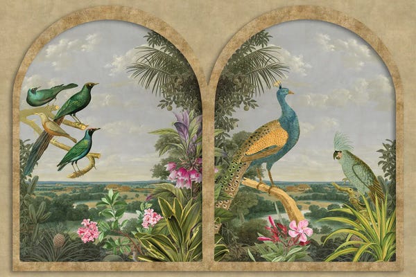 Andrea Haase: Window With A View (Tropical Birds) by Andrea Haase