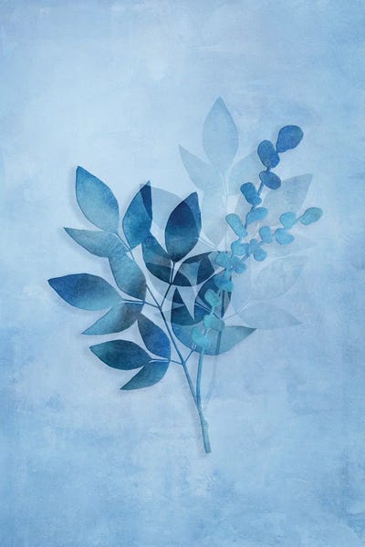 Andrea Haase: Tropical Night In Blue I by Andrea Haase