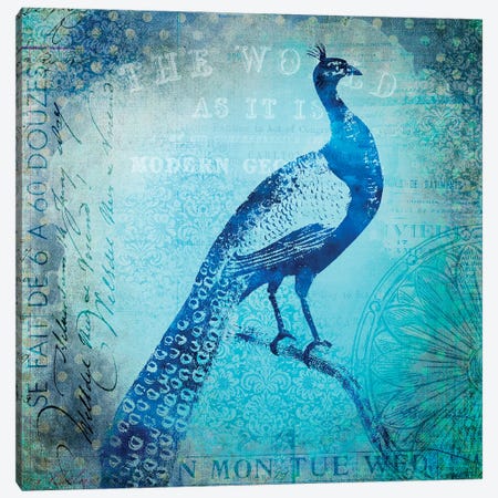 Peacocks Journey Canvas Print #HSE171} by Andrea Haase Canvas Wall Art