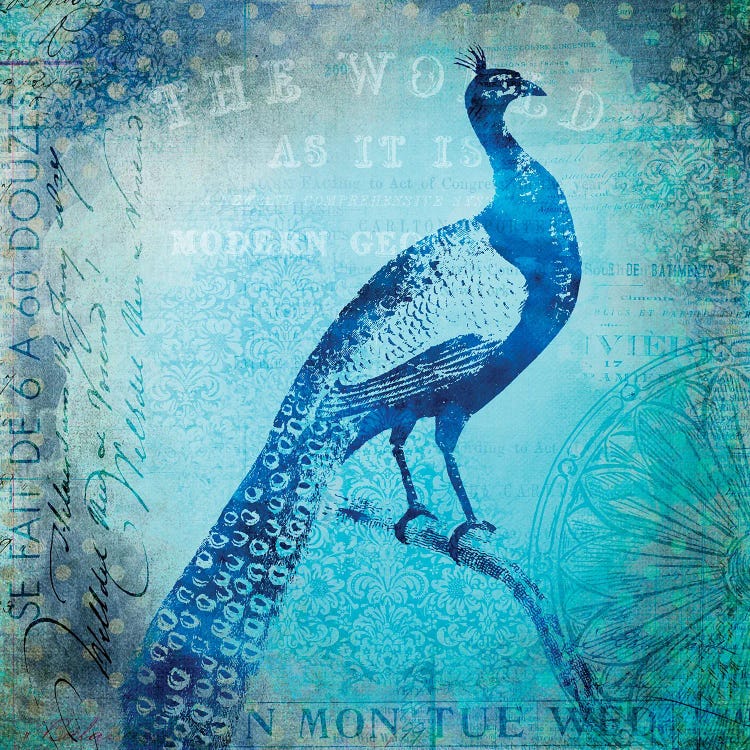 Peacocks Journey