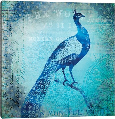 Peacocks Journey Canvas Art Print - Turquoise Art