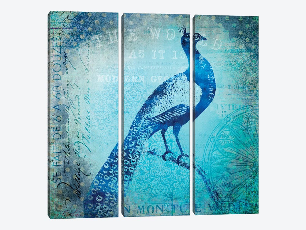 Peacocks Journey by Andrea Haase 3-piece Canvas Art