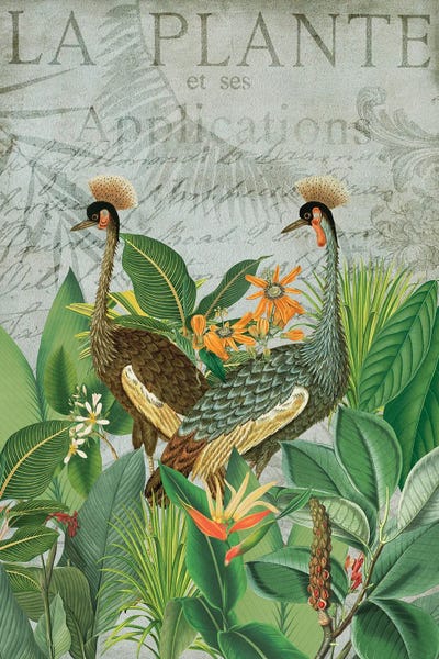 Fine Art Print: Grues Sous Les Tropiques by Andrea Haase