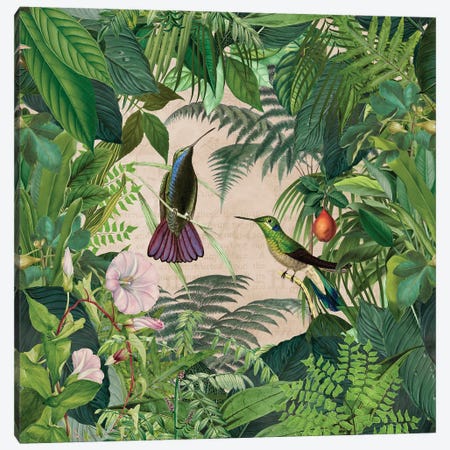 Tropical Hummingbird Jungle Canvas Print #HSE174} by Andrea Haase Art Print