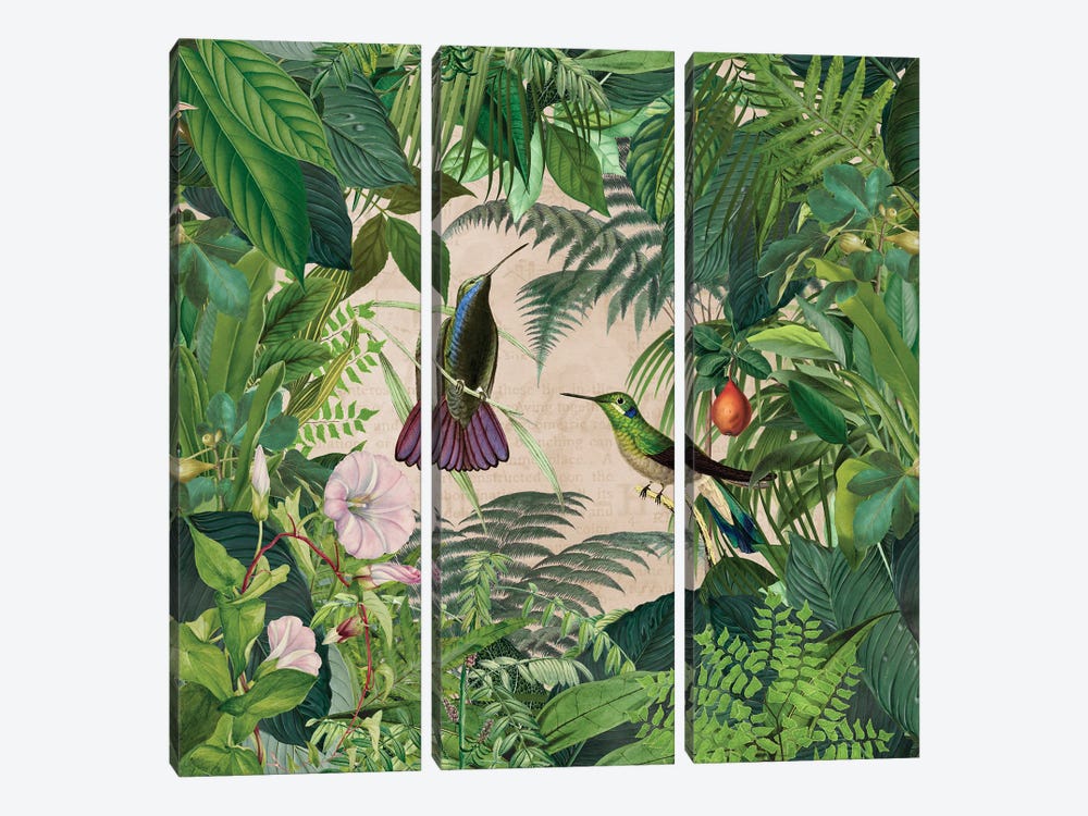 Tropical Hummingbird Jungle by Andrea Haase 3-piece Canvas Print