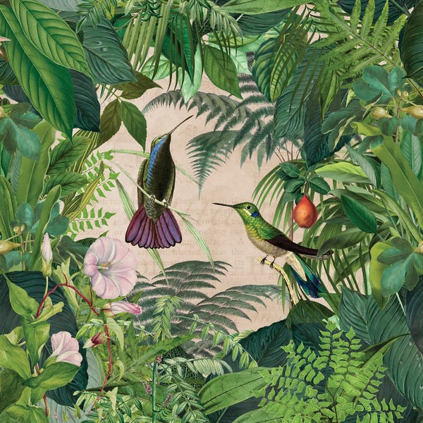 Fine Art Print: Tropical Hummingbird Jungle by Andrea Haase