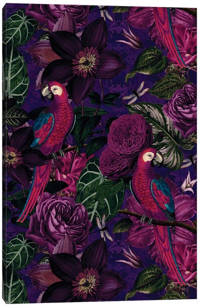Dark Jungle Birds Canvas Art Print - Parrot Art