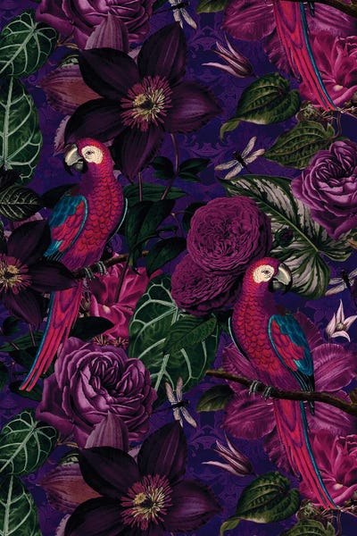 Fine Art Print: Dark Jungle Birds by Andrea Haase