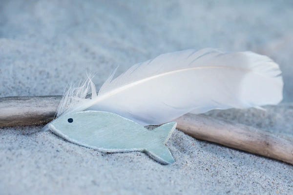 Andrea Haase: Fish Feather Beach Still by Andrea Haase