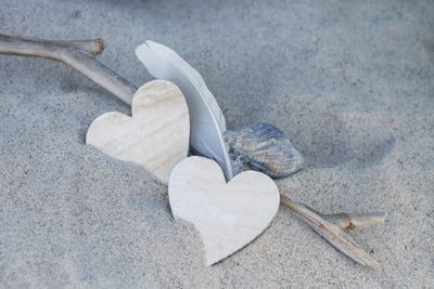 Heart And Feather Beach Still by Andrea Haase art print