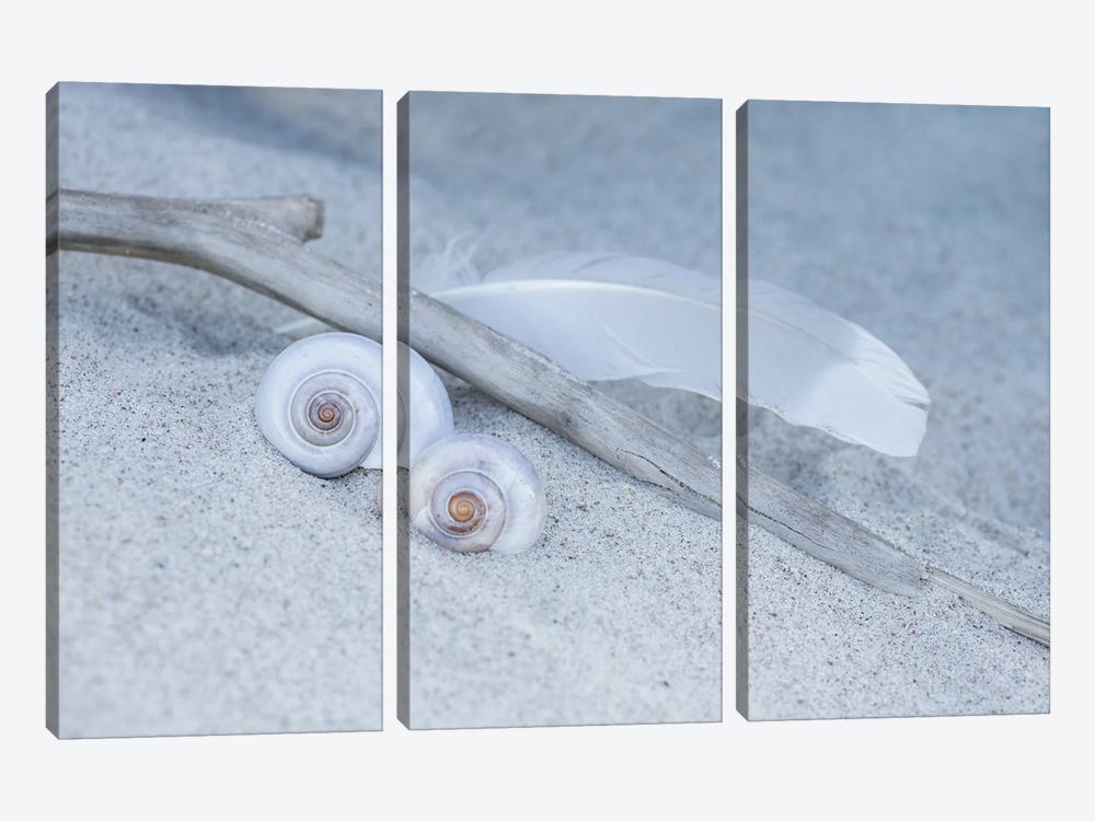 Shell Feather Beach Still by Andrea Haase 3-piece Canvas Print