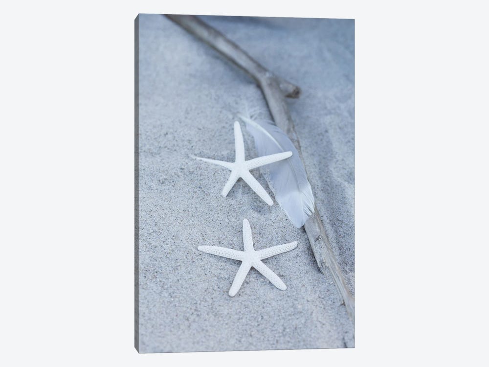 Starfish Feather Beach Still by Andrea Haase 1-piece Canvas Print
