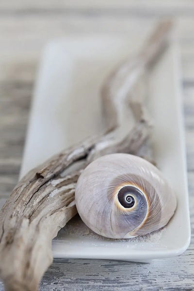 Andrea Haase: Zen Style Beach Still by Andrea Haase