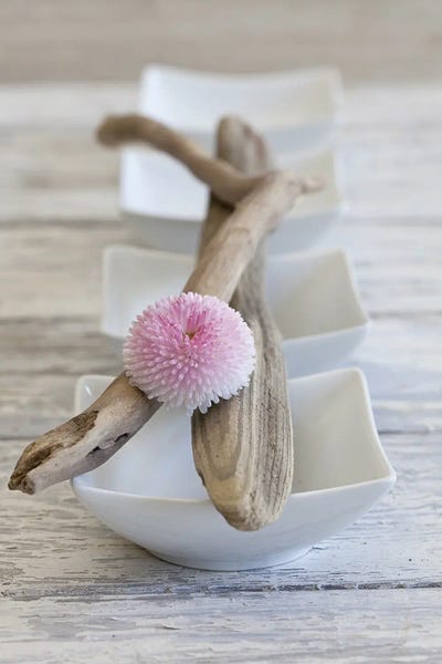 Andrea Haase: Zen Style Driftwood Flower Still by Andrea Haase