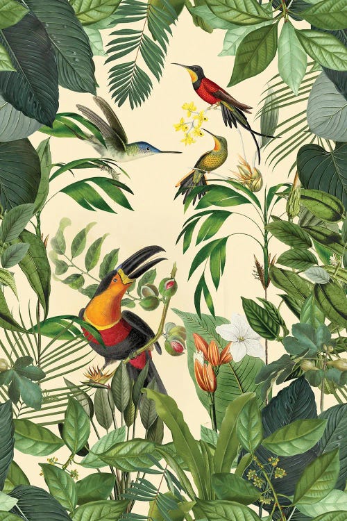 Tropical Toucan And Hummingbird