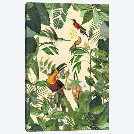 Tropical Toucan And Hummingbird Canvas Print #HSE93} by Andrea Haase Art Print