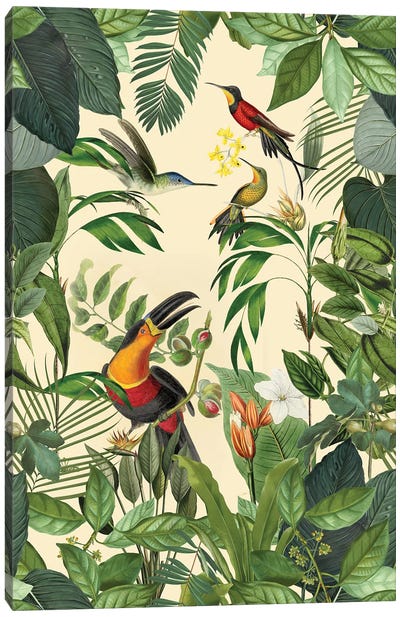 Tropical Toucan And Hummingbird Canvas Art Print - Toucan Art