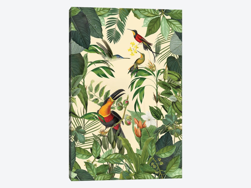 Tropical Toucan And Hummingbird by Andrea Haase 1-piece Canvas Art
