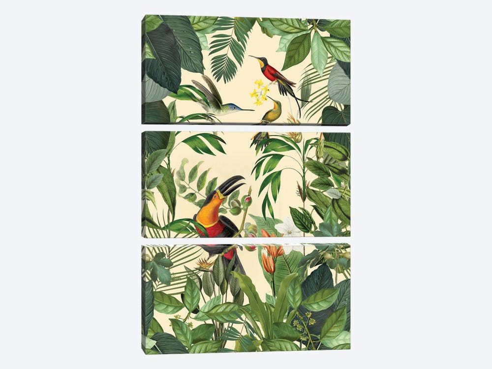 Tropical Toucan And Hummingbird by Andrea Haase 3-piece Canvas Wall Art
