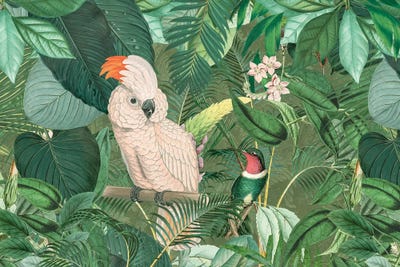 Jungle Friends by Andrea Haase art print
