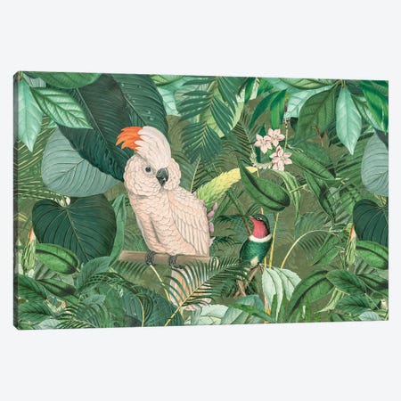 Jungle Friends Canvas Print #HSE94} by Andrea Haase Canvas Art