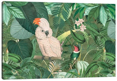 Jungle Friends Canvas Art Print - Andrea Haase