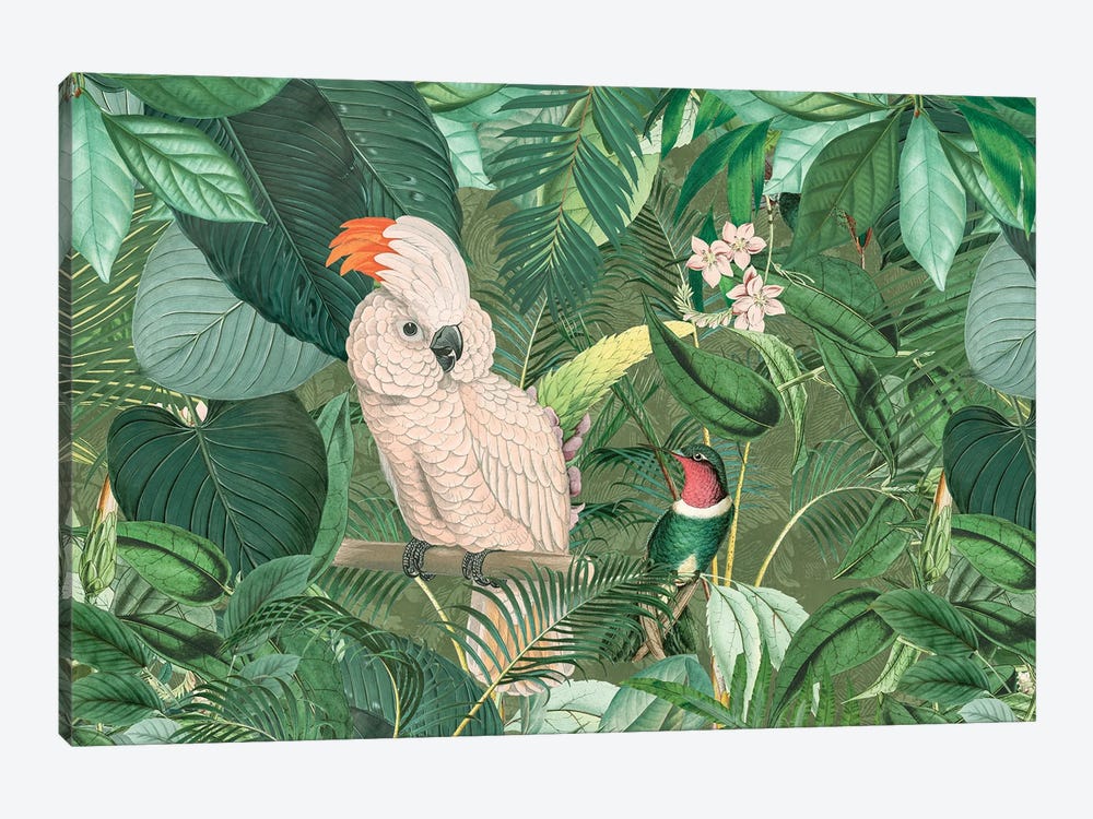 Jungle Friends by Andrea Haase 1-piece Canvas Art Print