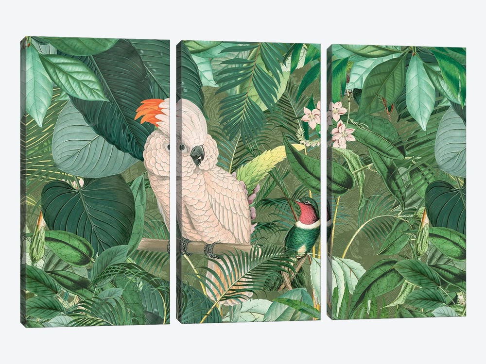 Jungle Friends by Andrea Haase 3-piece Canvas Print