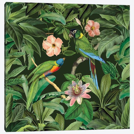 Exotic Paradise Jungle Birds Canvas Print #HSE96} by Andrea Haase Canvas Artwork