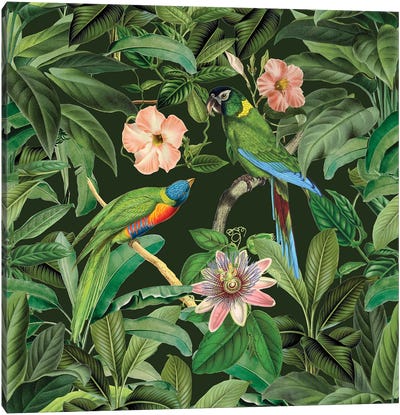 Exotic Paradise Jungle Birds Canvas Art Print - Andrea Haase