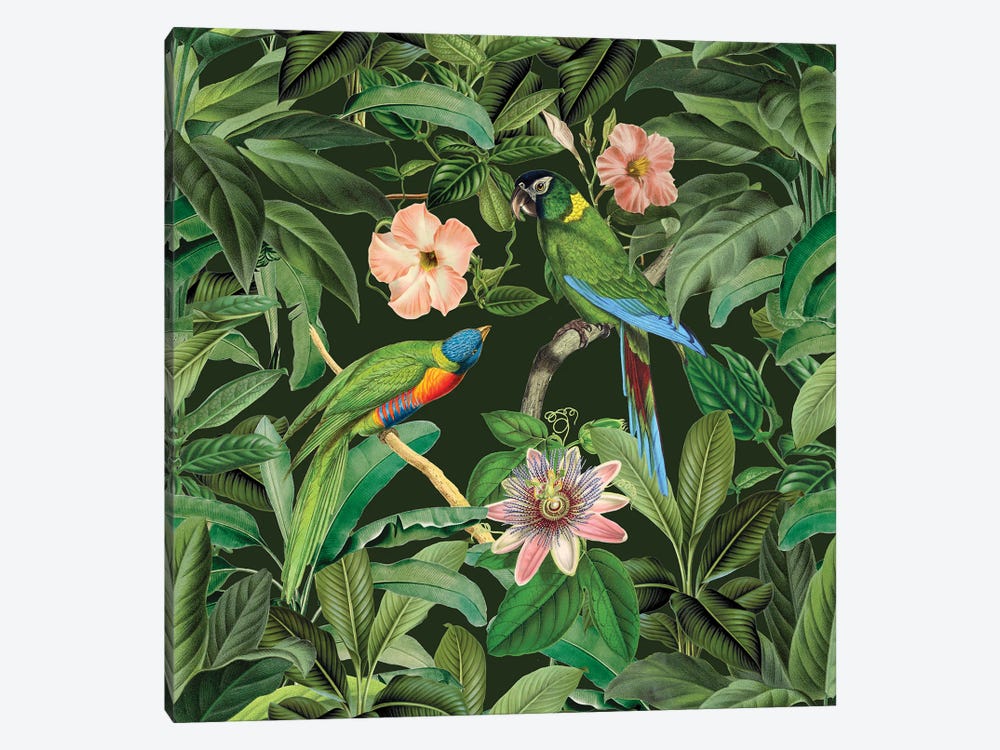 Exotic Paradise Jungle Birds by Andrea Haase 1-piece Art Print