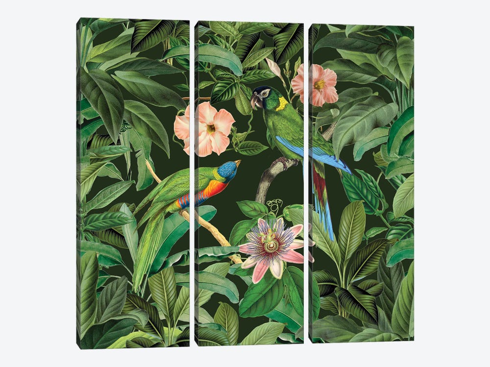 Exotic Paradise Jungle Birds by Andrea Haase 3-piece Canvas Print