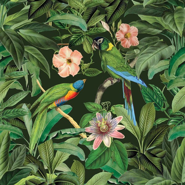 Andrea Haase: Exotic Paradise Jungle Birds by Andrea Haase