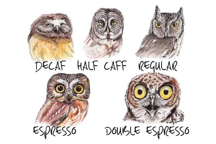 Owl Caffeine Meter by Holly Simental wall art