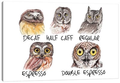 Owl Caffeine Meter Canvas Art Print - Owl Art