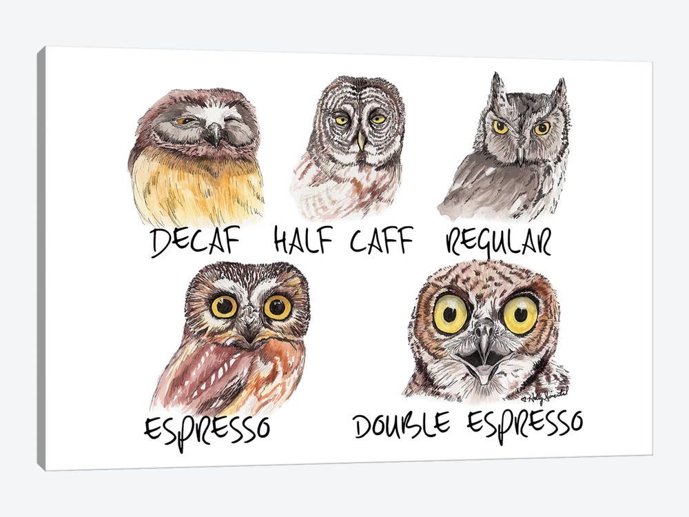 Owl Caffeine Meter by Holly Simental 1-piece Canvas Artwork