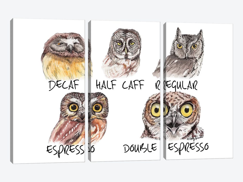 Owl Caffeine Meter by Holly Simental 3-piece Canvas Artwork