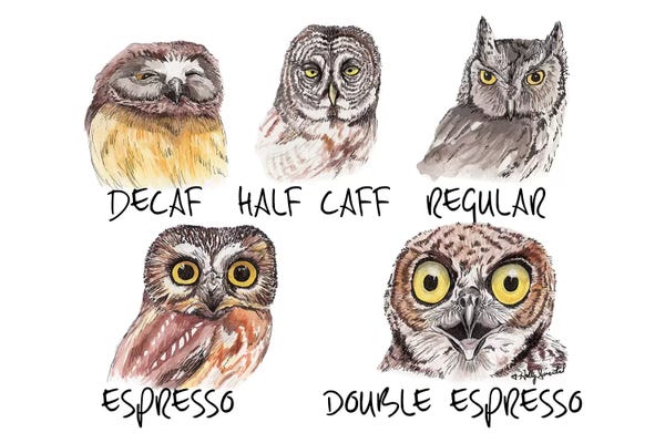 Kitchen: Owl Caffeine Meter by Holly Simental
