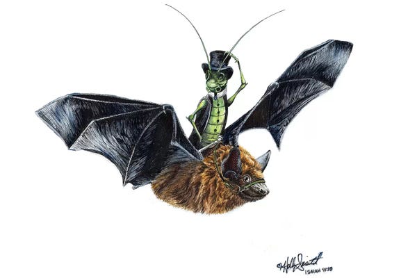 Bats: Rider In The Night by Holly Simental