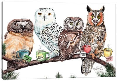 Tea Owls Canvas Art Print - Bird Art