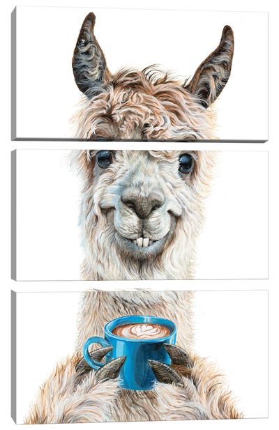 Llama Latte Canvas Art Print - 3-Piece Animal Art