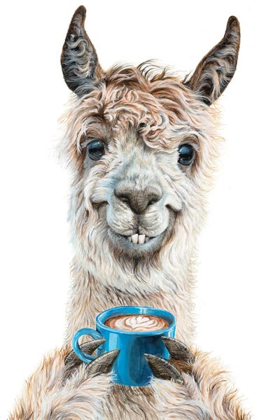 Big Prints & Large Wall Art - Canvas Prints: Llama Latte by Holly Simental