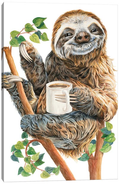 Top Of The Morning Canvas Art Print - Sloth Art