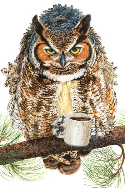 Cabin & Lodge Décor: Up All Night by Holly Simental