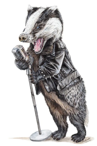Badgers: Rock'n Badger by Holly Simental