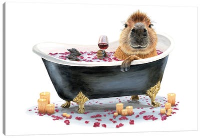 Happy Cappy Bath Capybara Canvas Art Print - Rodent Art